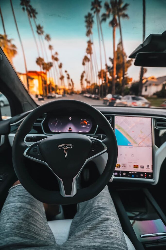 Person Sitting Inside Tesla Car