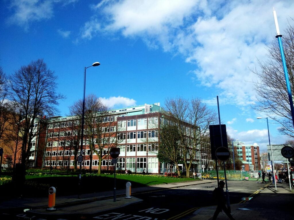 White and Brown Building university